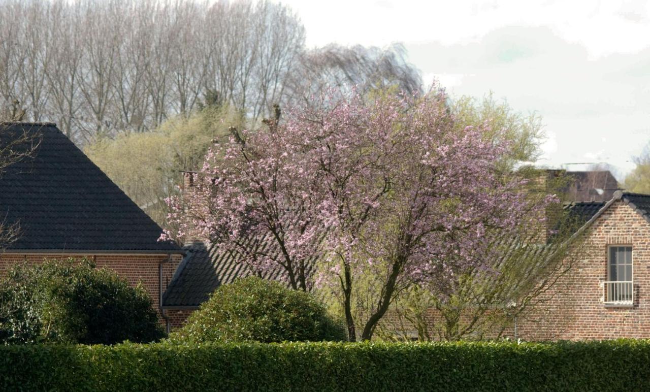 De Rankhove Bed and Breakfast Herne Eksteriør billede